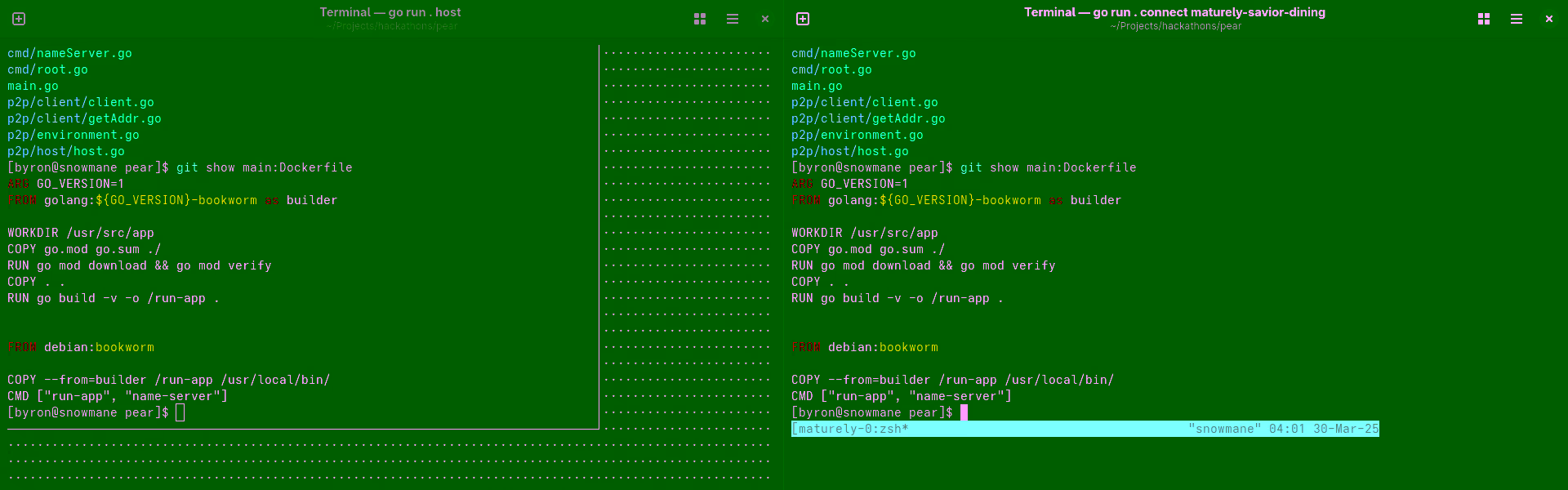 a screenshot of two terminals synchronized with Pear